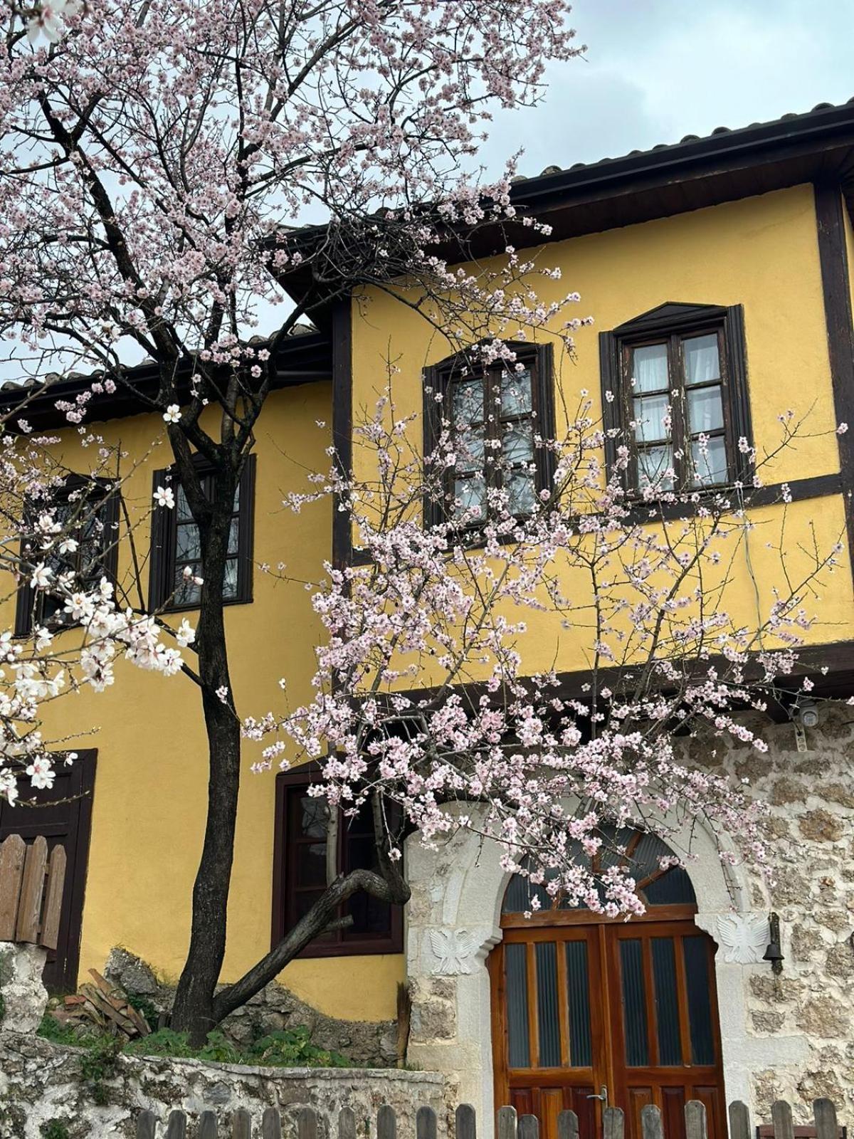 Rooms Nesti Inside Of Castle Krujë 외부 사진